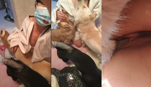 一个少女同时跟n只狗狗玩儿，大开眼界，毁三观中