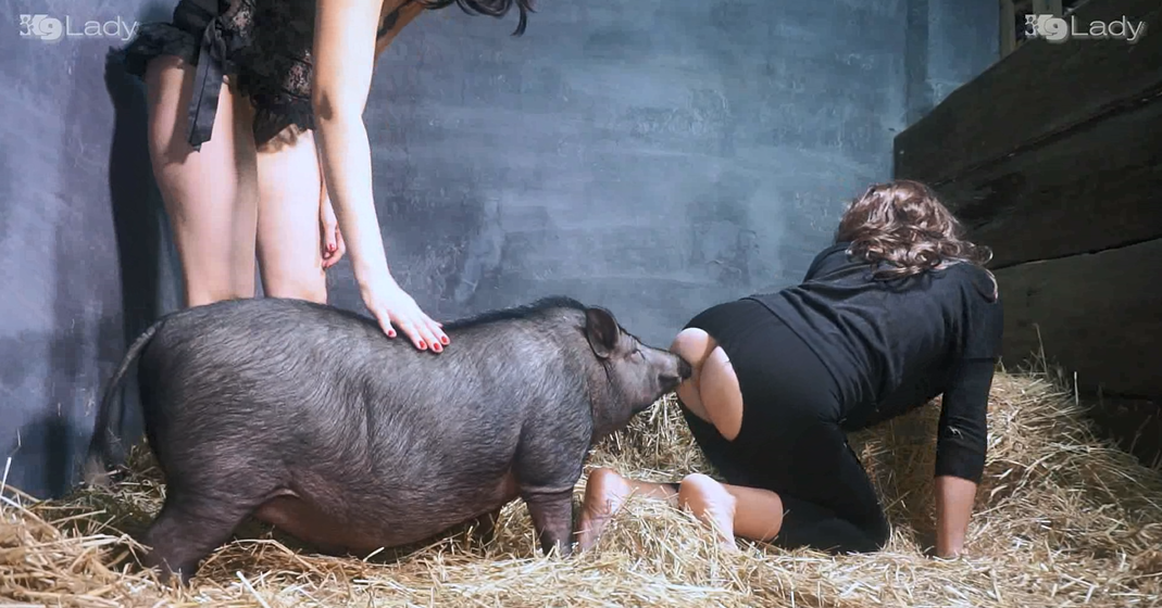 小骚猪的战斗力还是很强的，跟钻头一样，疯狂钻洞,还被内射！